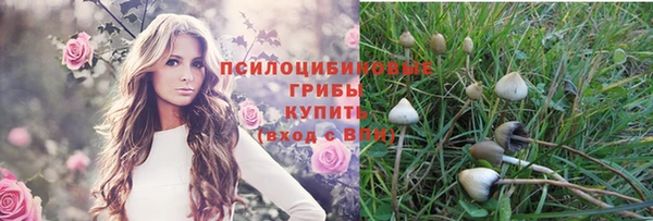 каннабис Алзамай